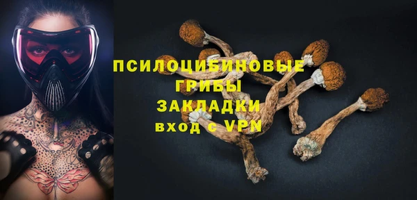 сатива Семикаракорск