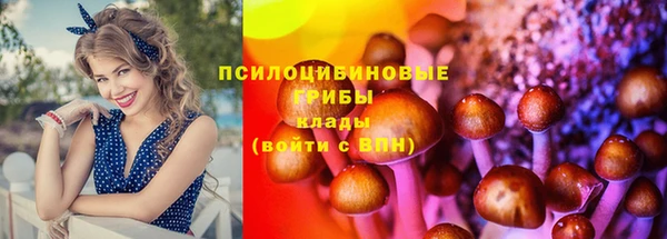 mdpv Россошь